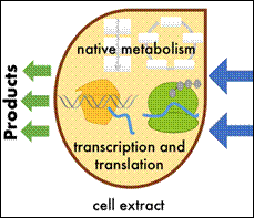 Image result for biomanufacturing biotechnology synthetic biology