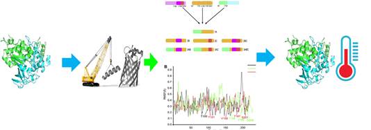 protein eng