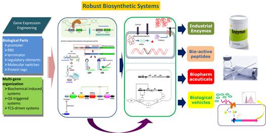 Research Framework_updated
